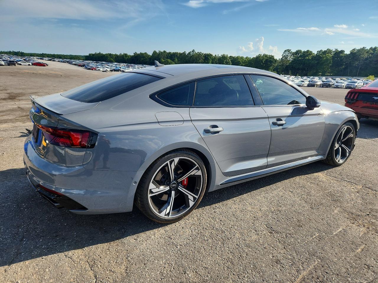 2019 Audi Rs5 Gray vin: WUABWCF50KA903292