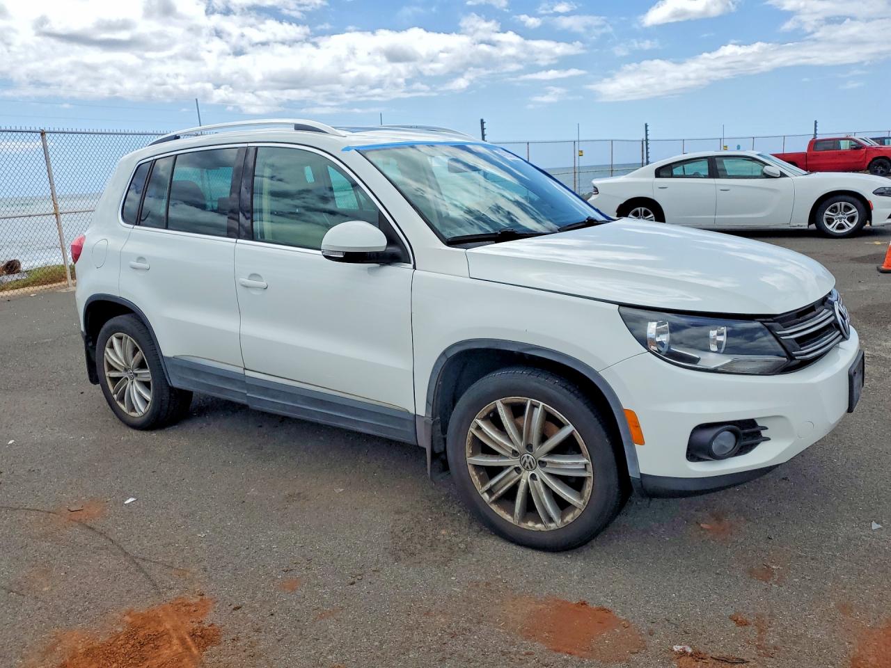 2014 Volkswagen Tiguan S Белый vin: WVGAV3AX0EW600150