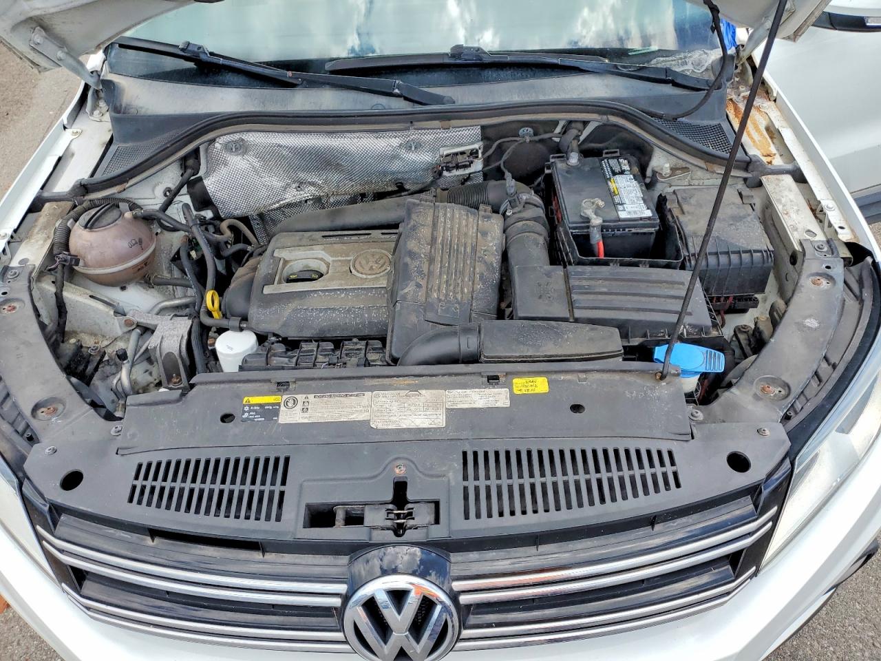 2014 Volkswagen Tiguan S Белый vin: WVGAV3AX0EW600150