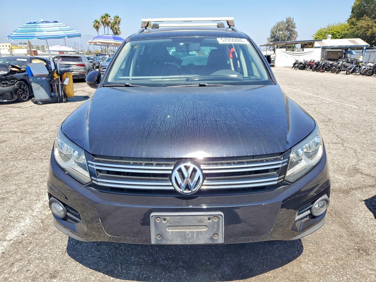 2014 Volkswagen Tiguan Black vin: WVGAV3AX1EW509839