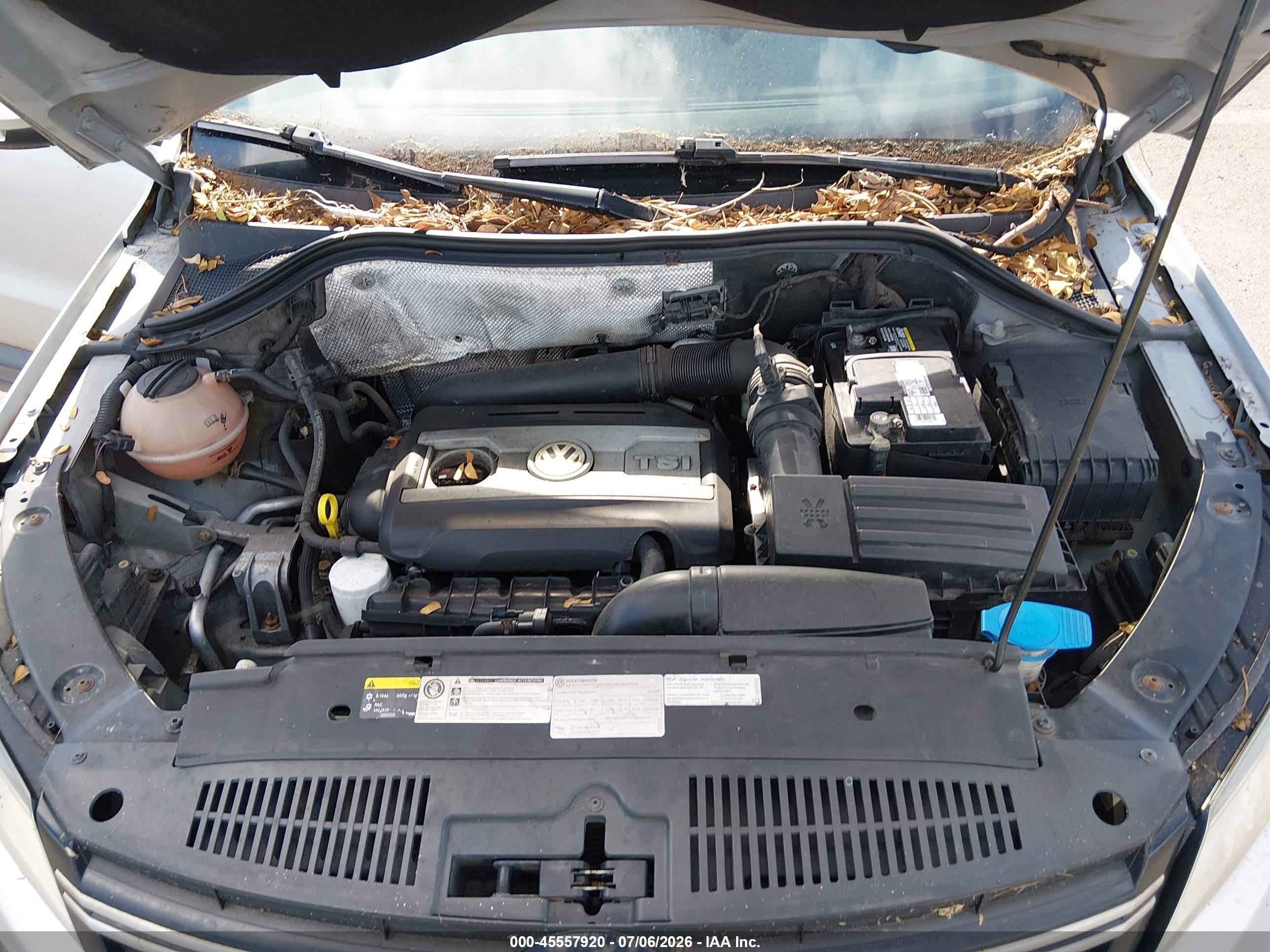 2013 Volkswagen Tiguan S Silver vin: WVGAV3AX2DW615974