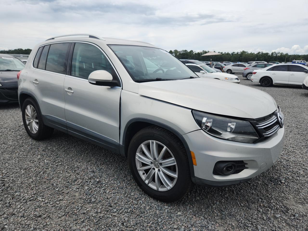 2013 Volkswagen Tiguan S Silver vin: WVGAV3AX5DW617248