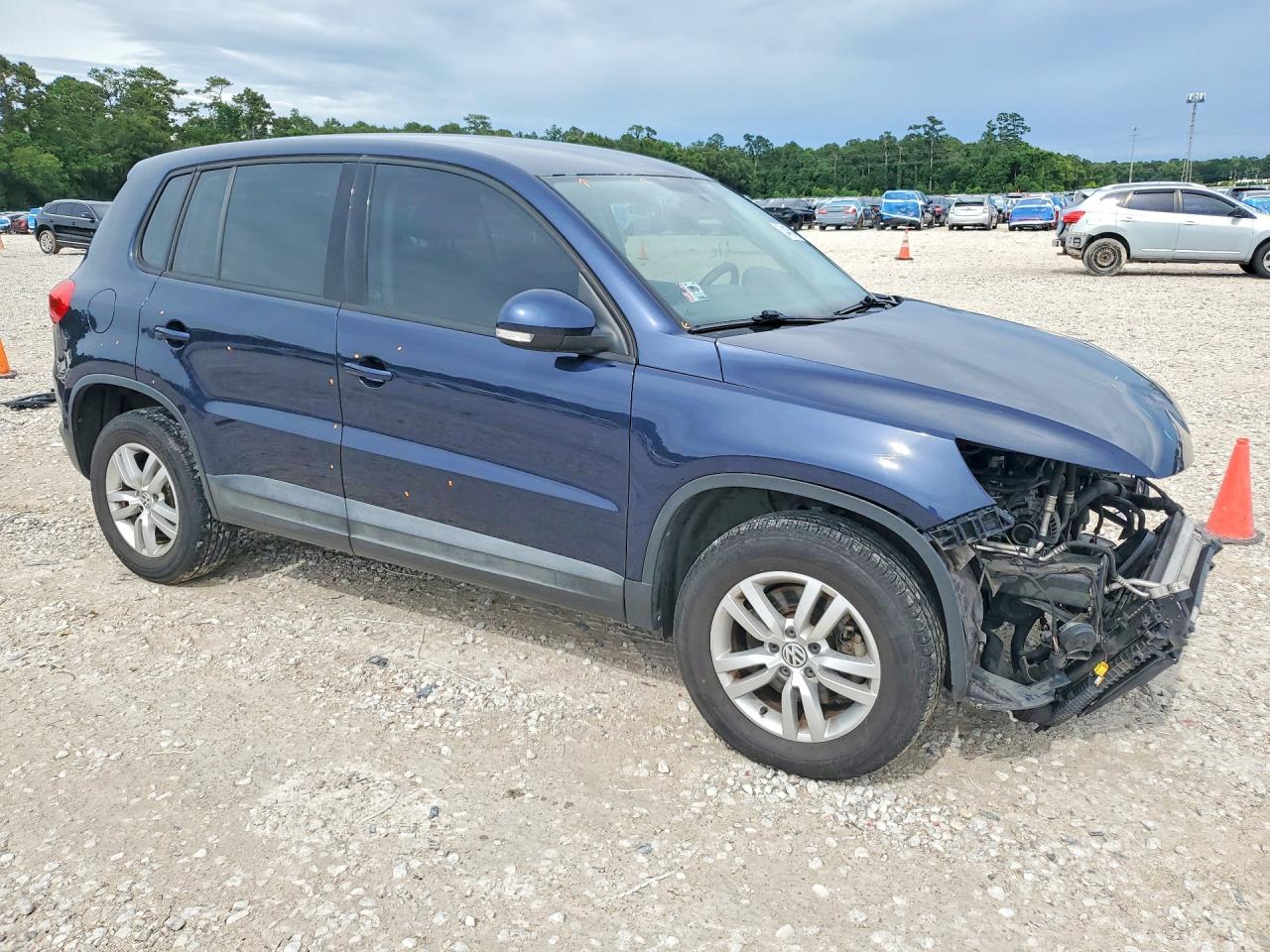 2013 Volkswagen Tiguan S Blue vin: WVGAV3AX7DW618143