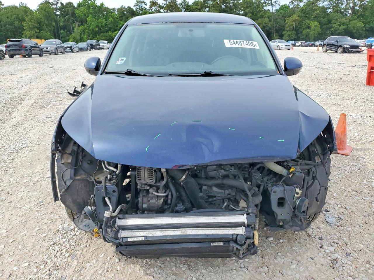 2013 Volkswagen Tiguan S Blue vin: WVGAV3AX7DW618143
