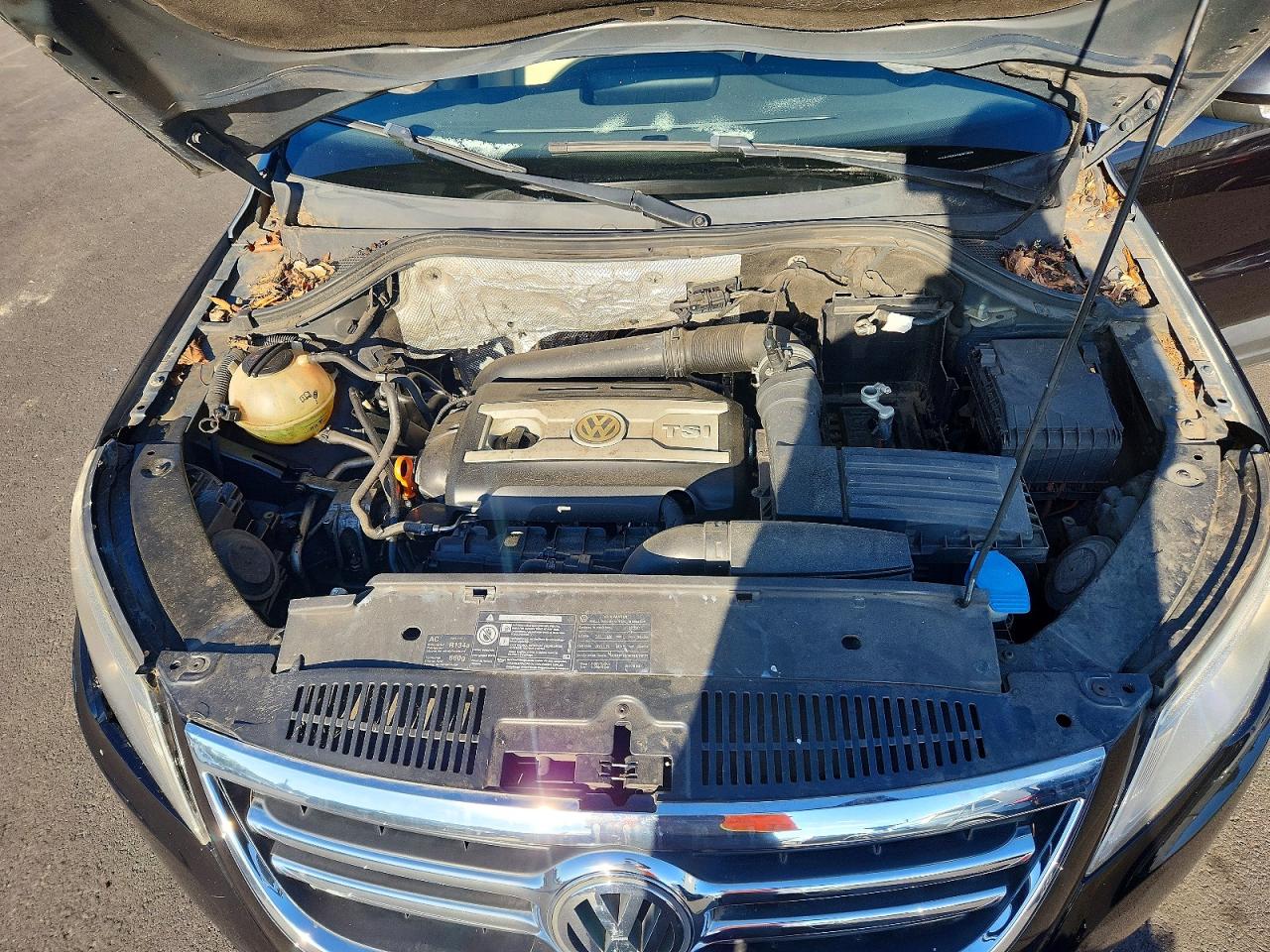 2009 Volkswagen Tiguan S Черный vin: WVGAV75N09W502662