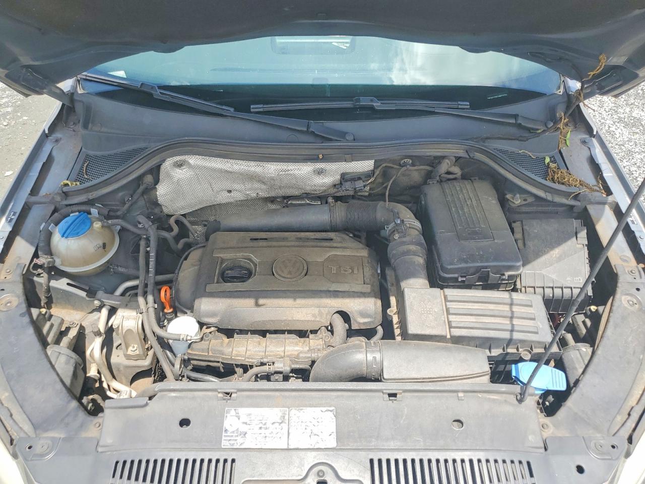2009 Volkswagen Tiguan S Gray vin: WVGAV75N19W521334