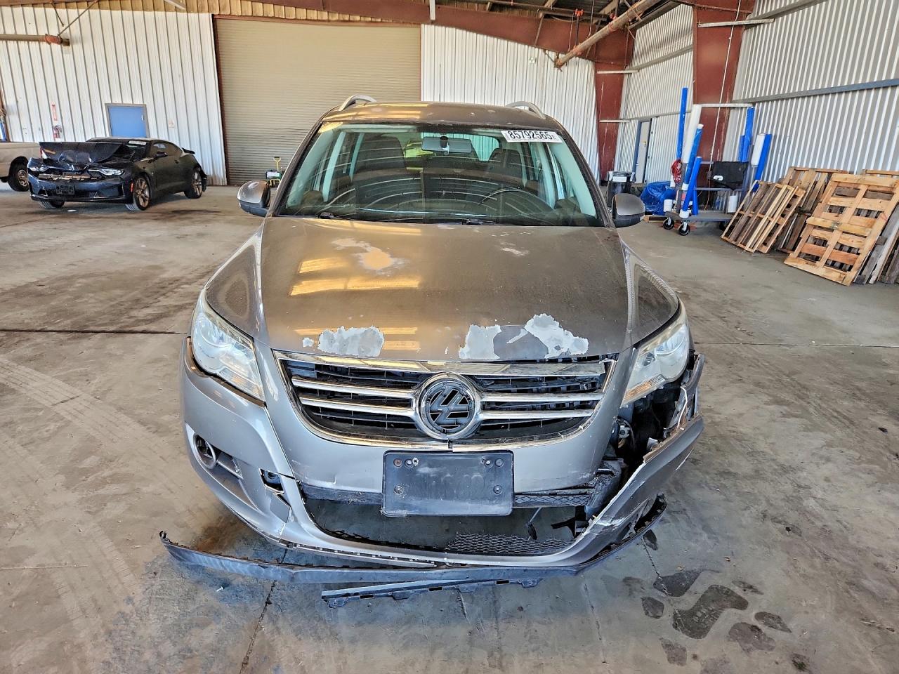 2009 Volkswagen Tiguan Gray vin: WVGAV75N29W000512