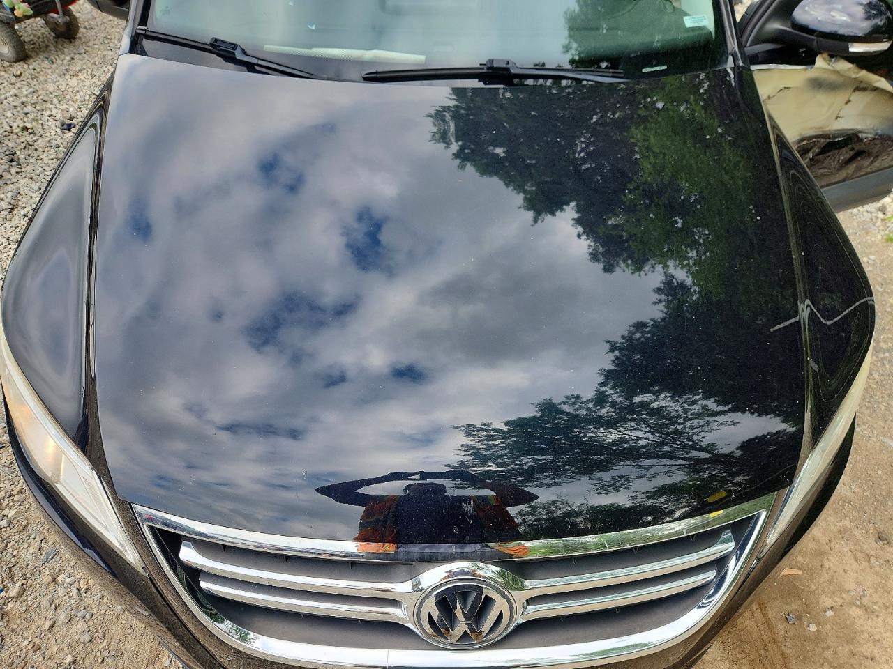 2009 Volkswagen Tiguan S Black vin: WVGAV75N49W512367