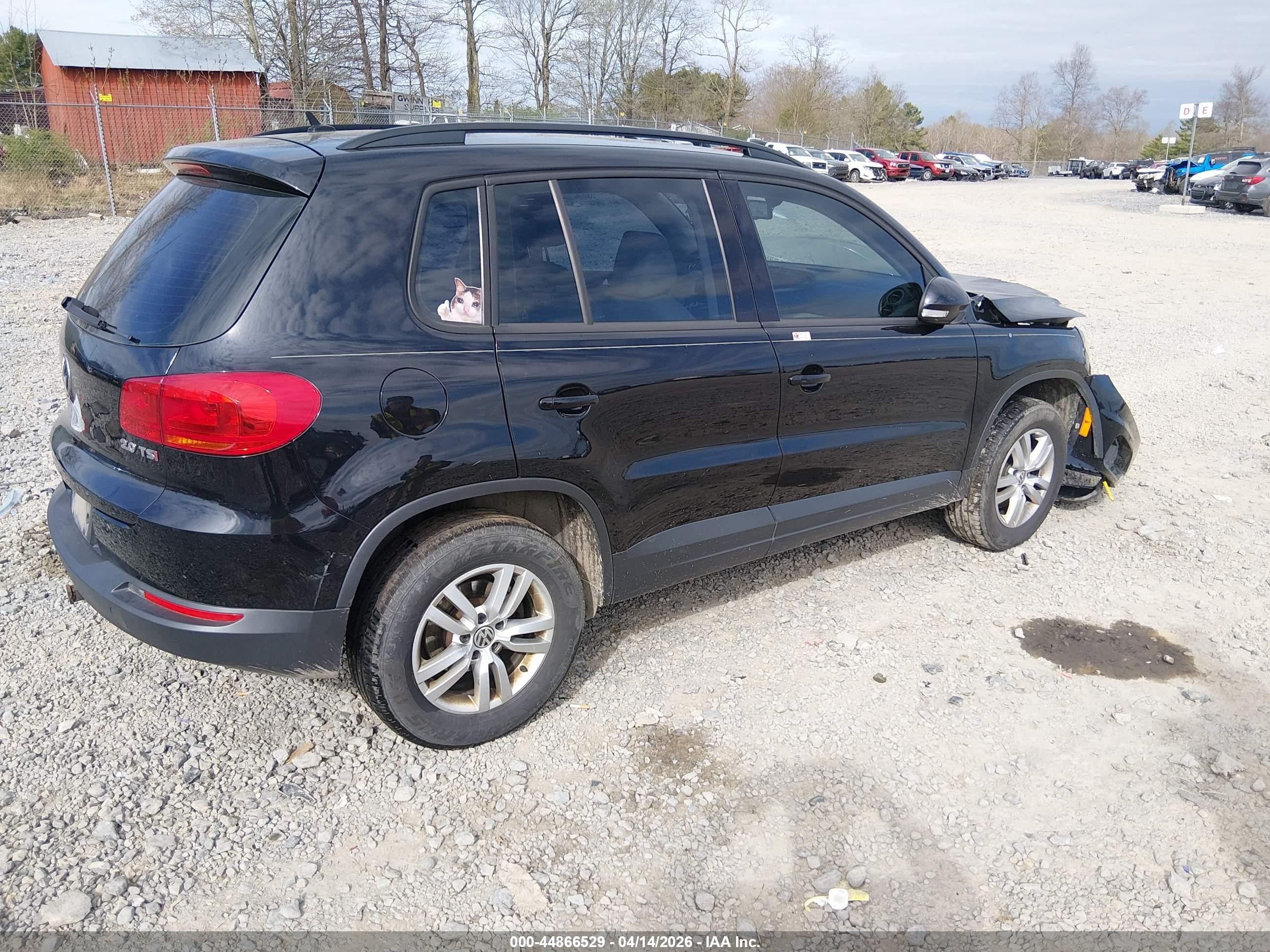 2016 Volkswagen Tiguan S Черный vin: WVGAV7AX3GK000076
