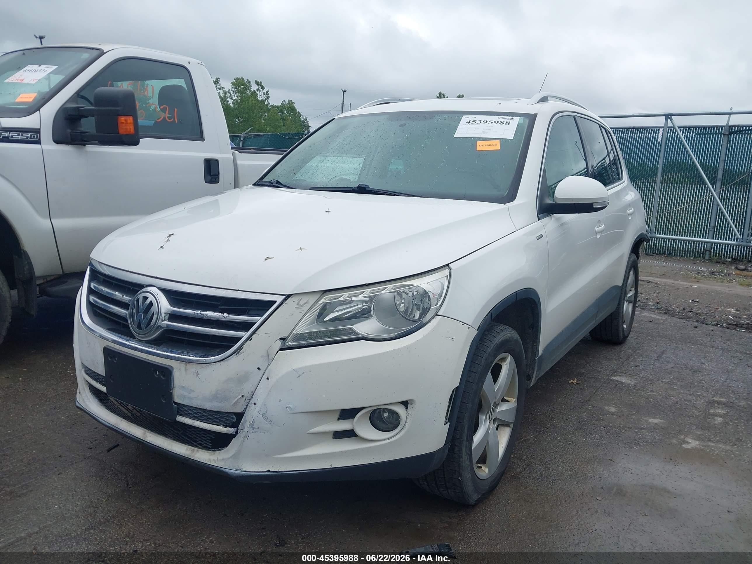 2010 Volkswagen Tiguan Wolfsburg Edition White vin: WVGAV7AX4AW001673