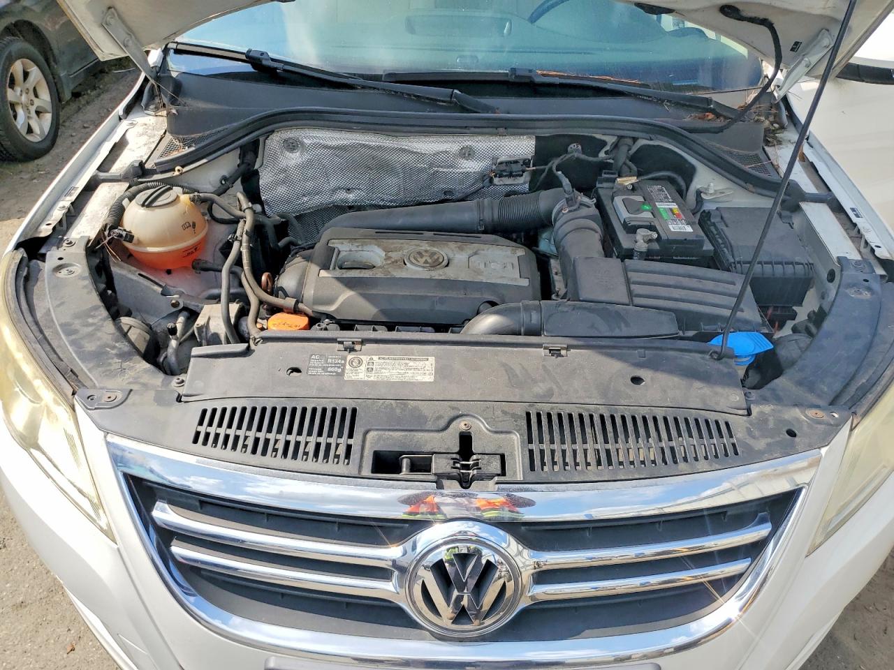 2010 Volkswagen Tiguan S Белый vin: WVGAV7AX9AW519844