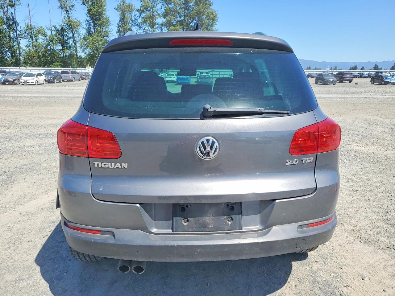 2013 Volkswagen Tiguan S Gray vin: WVGAV7AX9DW536244