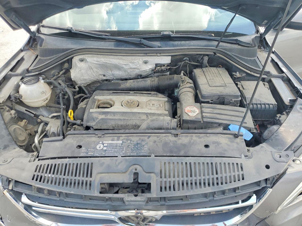 2009 Volkswagen Tiguan S Gray vin: WVGAV95N19W000951