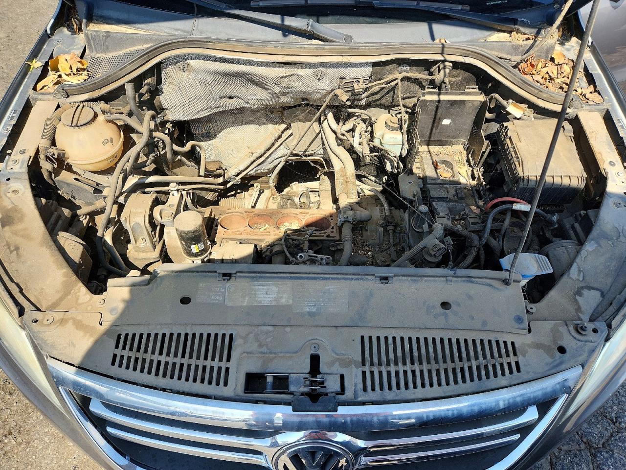 2010 Volkswagen Tiguan S Gray vin: WVGAV9AX6AW518792