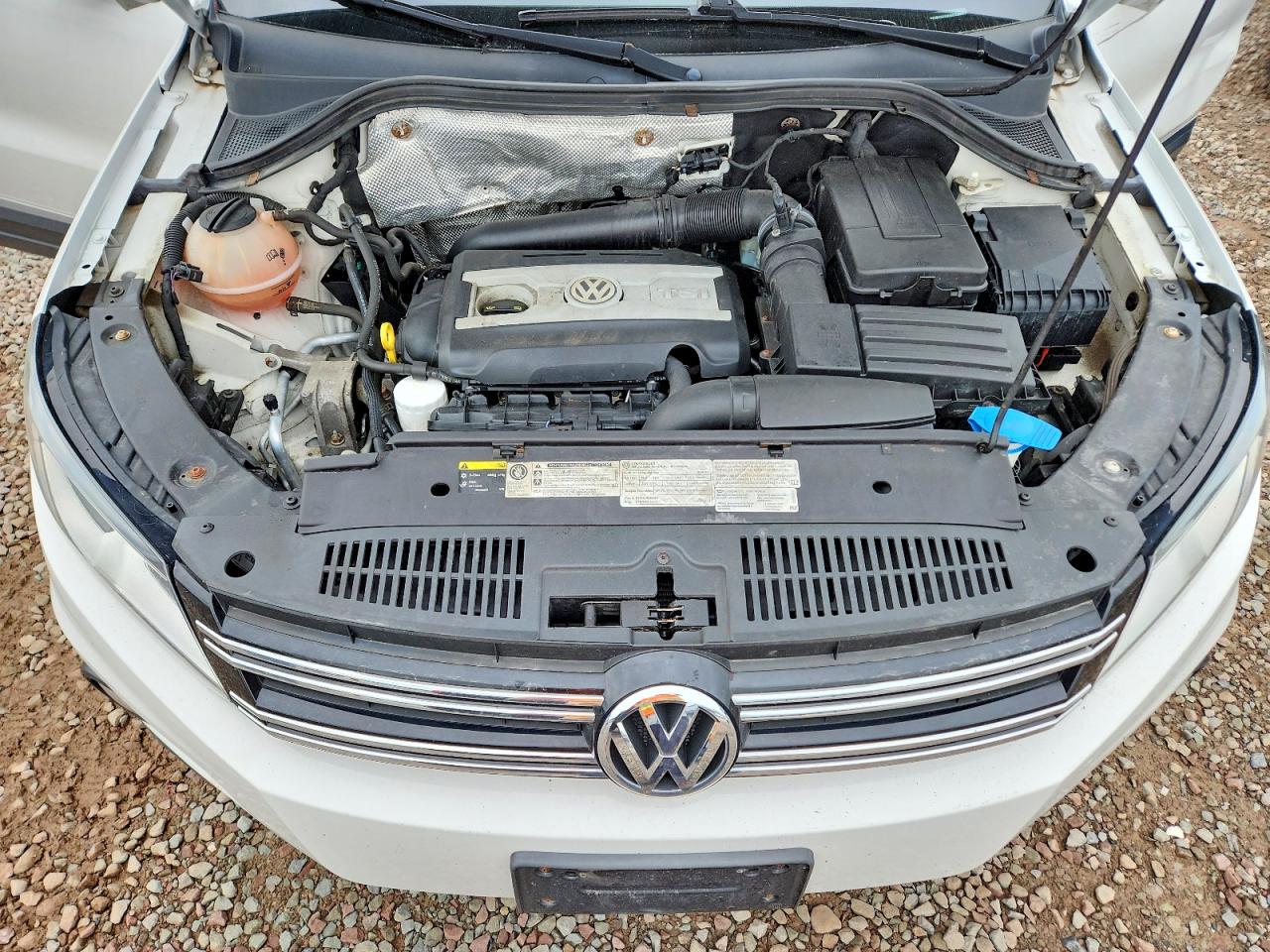 2014 Volkswagen Tiguan S White vin: WVGBV3AX0EW539435