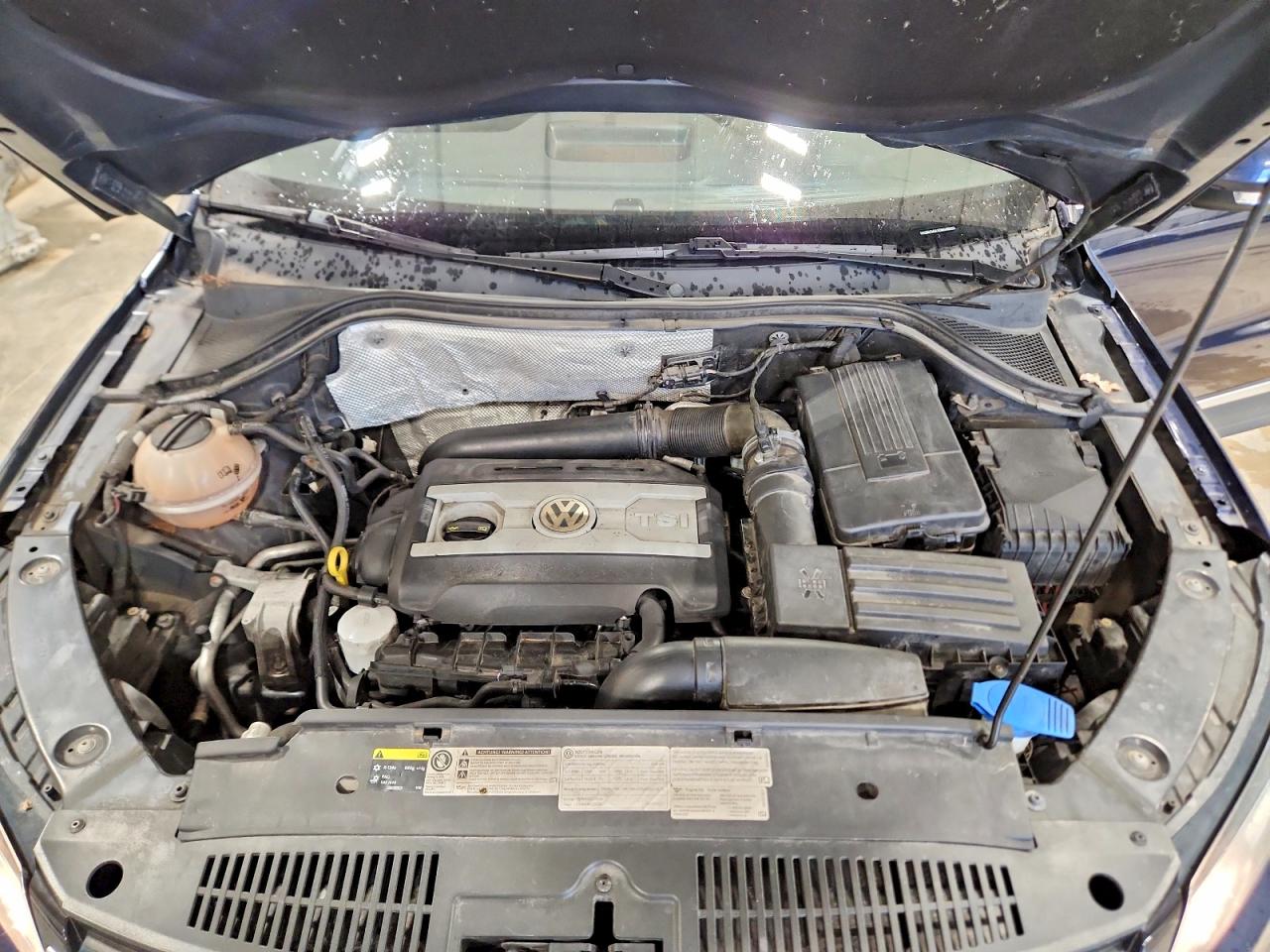 2014 Volkswagen Tiguan S Blue vin: WVGBV3AX1EW598333