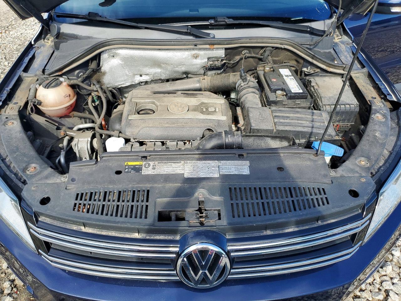 2013 Volkswagen Tiguan Blue vin: WVGBV3AX2DW072226