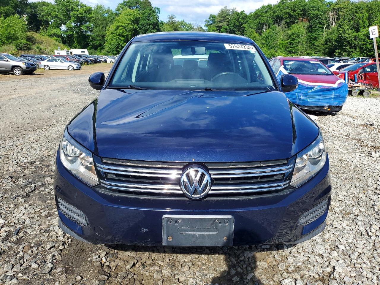 2013 Volkswagen Tiguan Blue vin: WVGBV3AX2DW072226