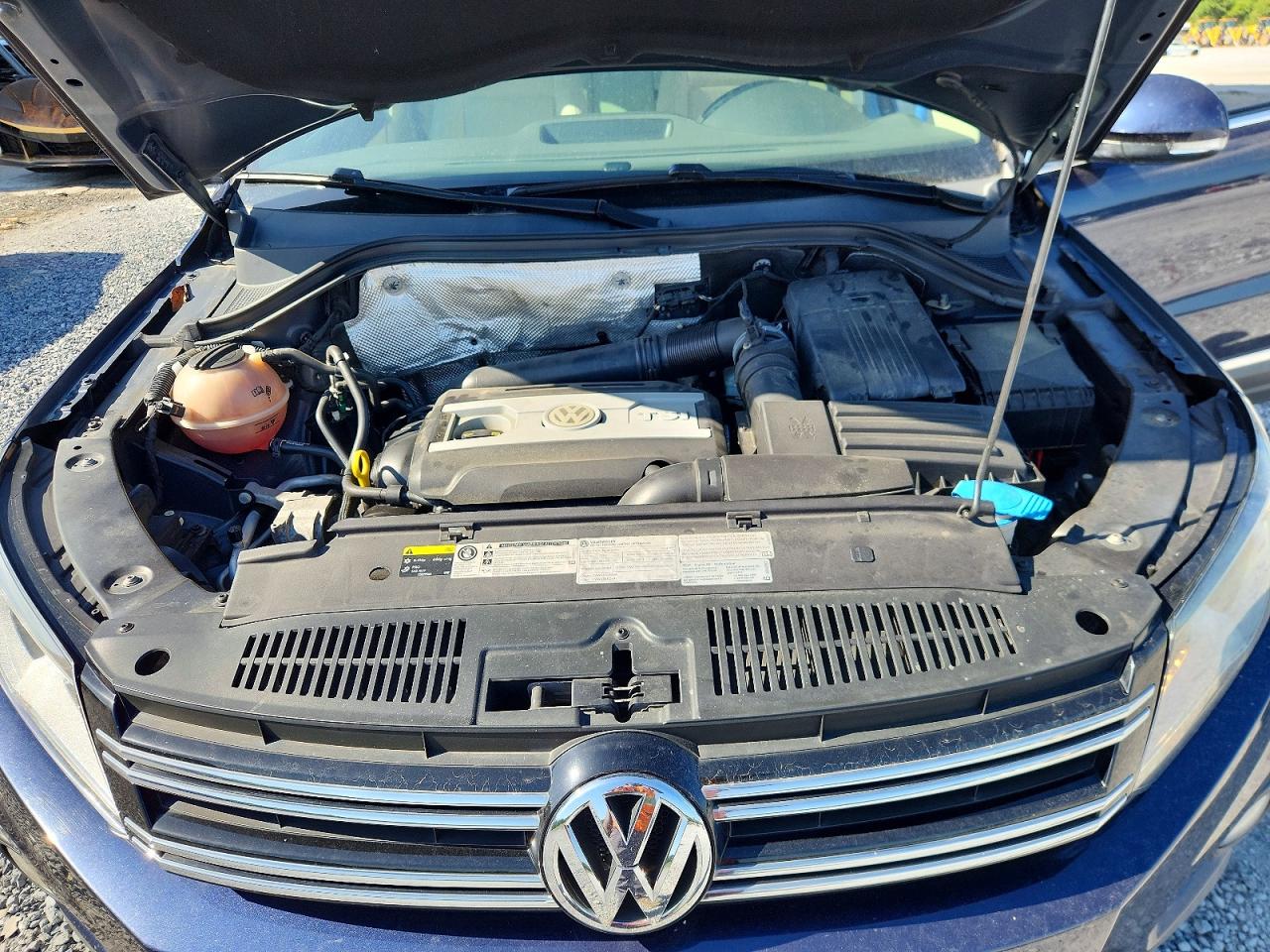 2014 Volkswagen Tiguan S Blue vin: WVGBV3AX4EW565391