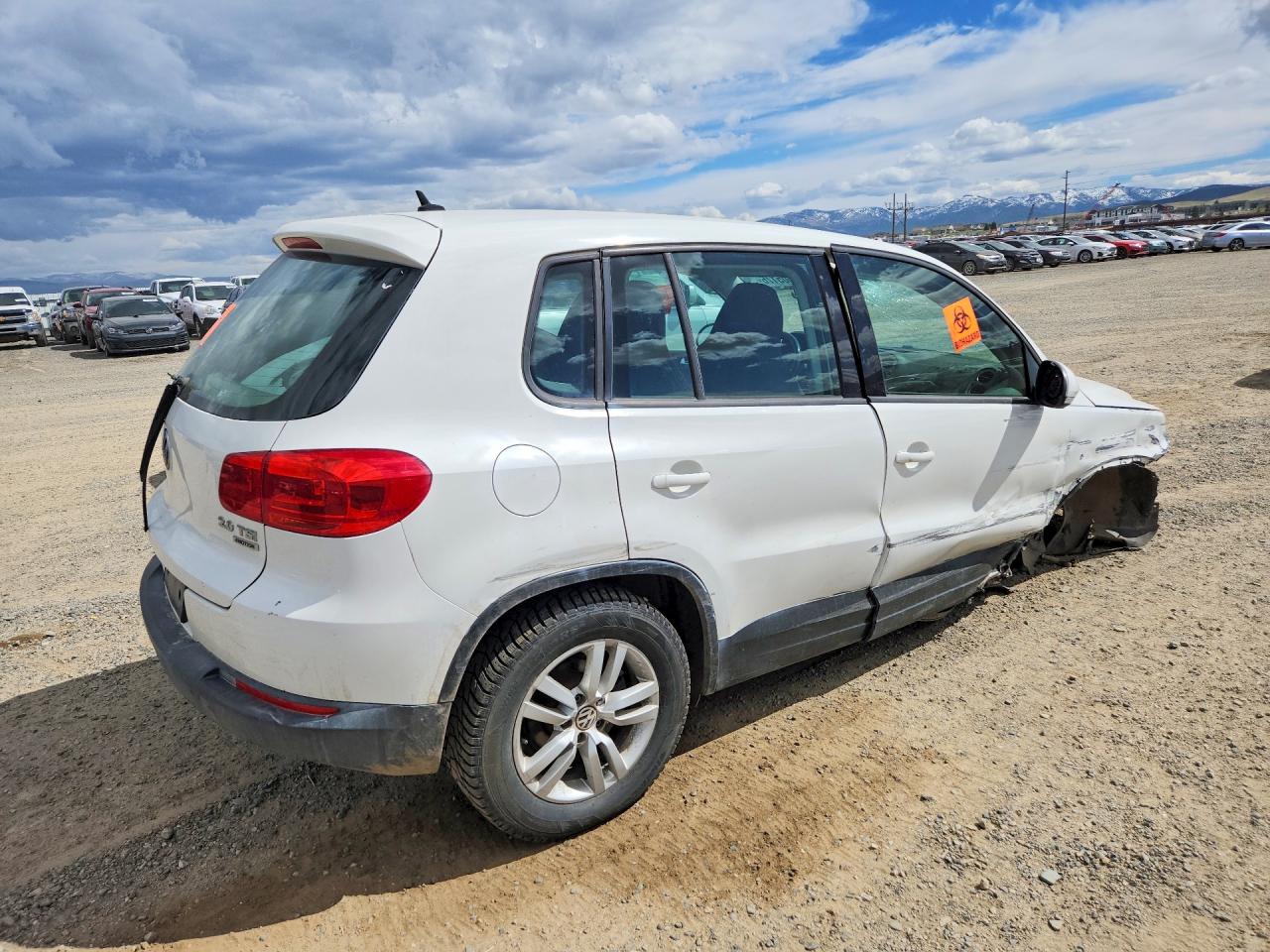 2013 Volkswagen Tiguan S Белый vin: WVGBV3AX5DW569867