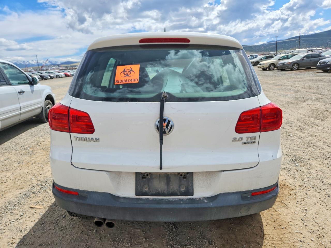 2013 Volkswagen Tiguan S Белый vin: WVGBV3AX5DW569867