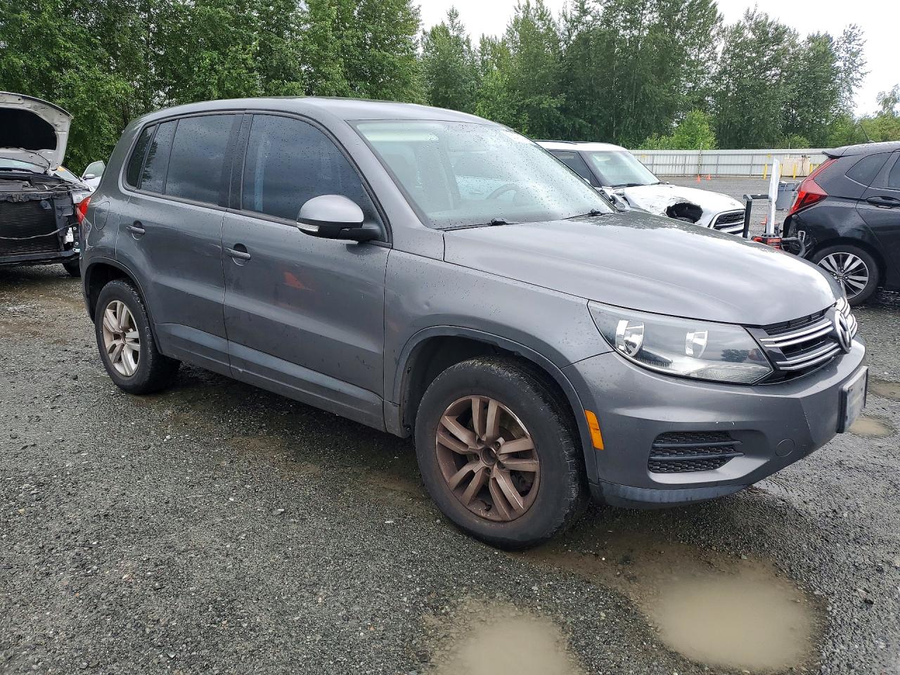 2013 Volkswagen Tiguan S Gray vin: WVGBV3AX5DW584594