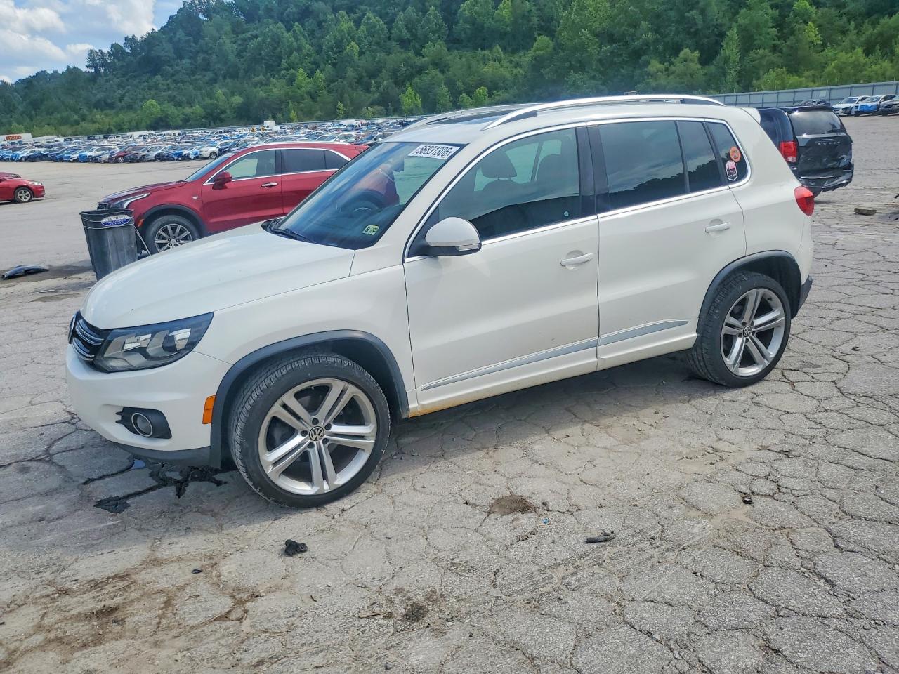 2014 Volkswagen Tiguan S White vin: WVGBV3AX5EW026066