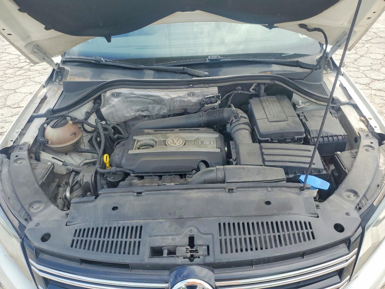2014 Volkswagen Tiguan S Белый vin: WVGBV3AX5EW026066