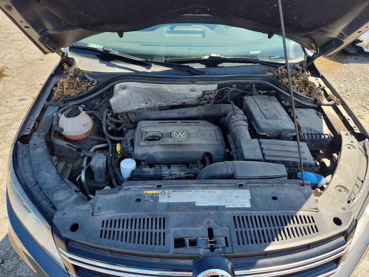 2014 Volkswagen Tiguan Gray vin: WVGBV3AX9EW523251