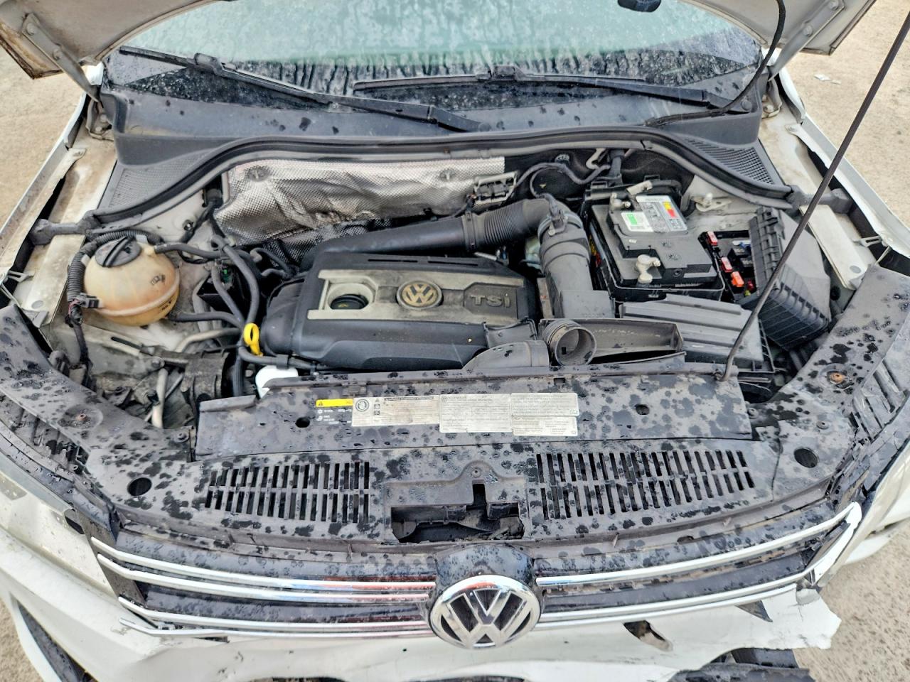 2014 Volkswagen Tiguan S White vin: WVGBV3AX9EW603388
