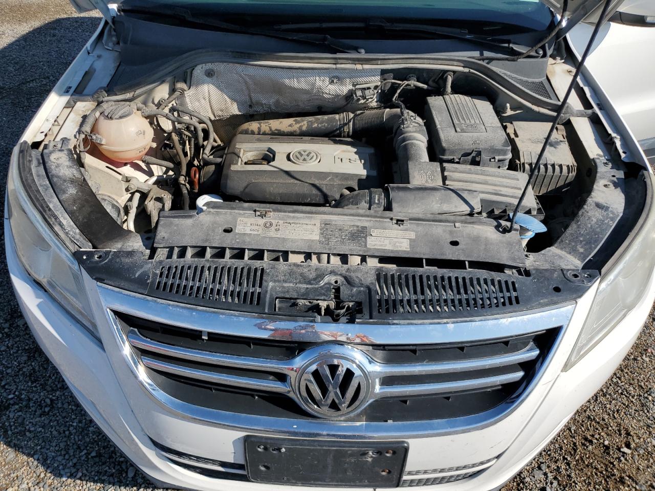 2011 Volkswagen Tiguan S White vin: WVGBV7AX0BW569487