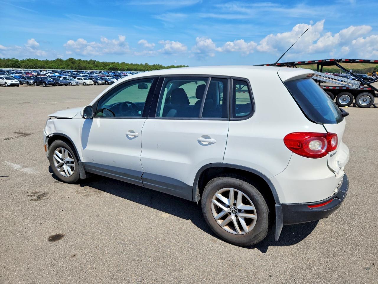 2011 Volkswagen Tiguan White vin: WVGBV7AX2BW524096