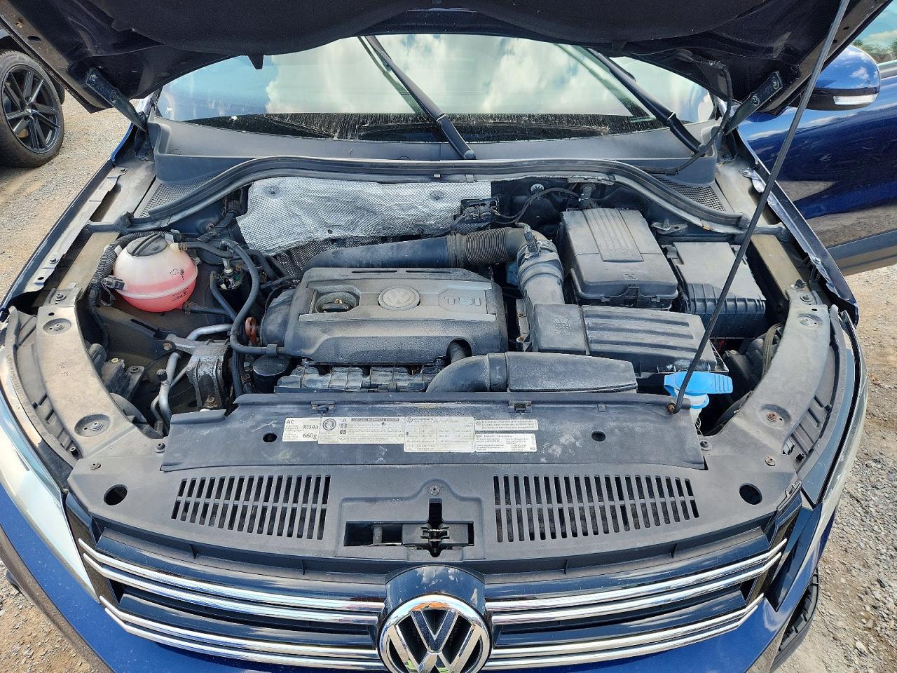 2012 Volkswagen Tiguan S Blue vin: WVGBV7AX3CW562860