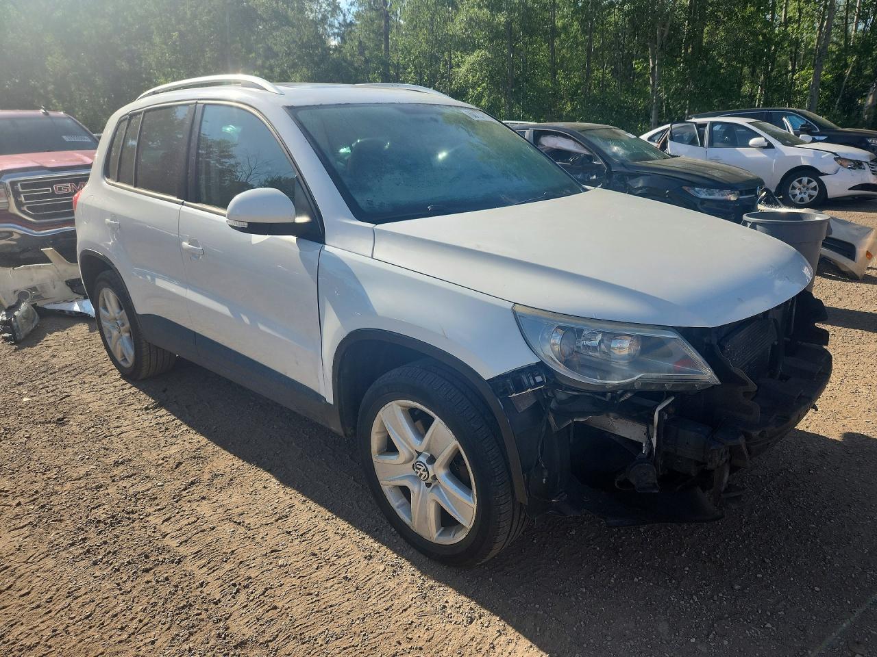 2010 Volkswagen Tiguan Se White vin: WVGBV7AX5AW509719