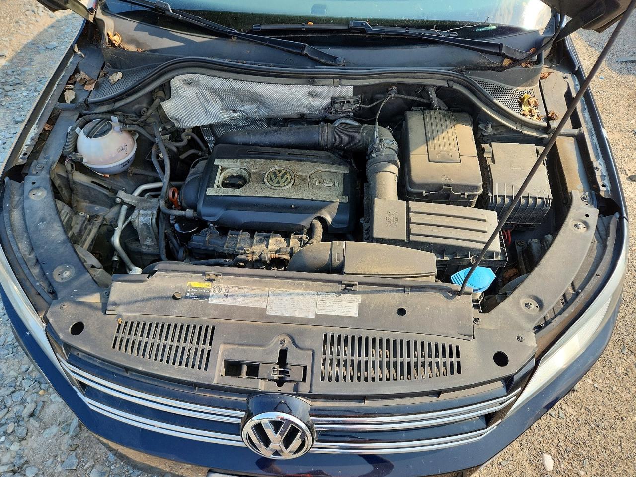 2013 Volkswagen Tiguan S Black vin: WVGBV7AX5DW556916
