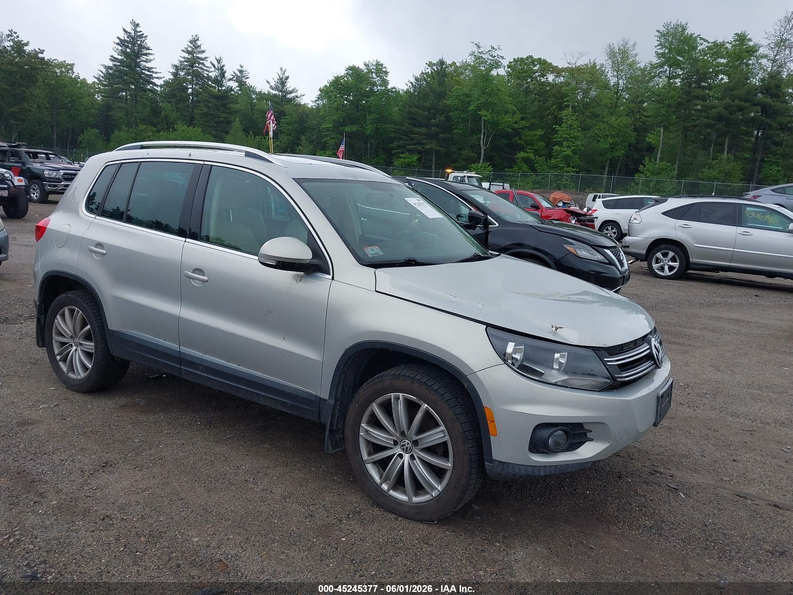 2013 Volkswagen Tiguan Se Silver vin: WVGBV7AX7DW540104