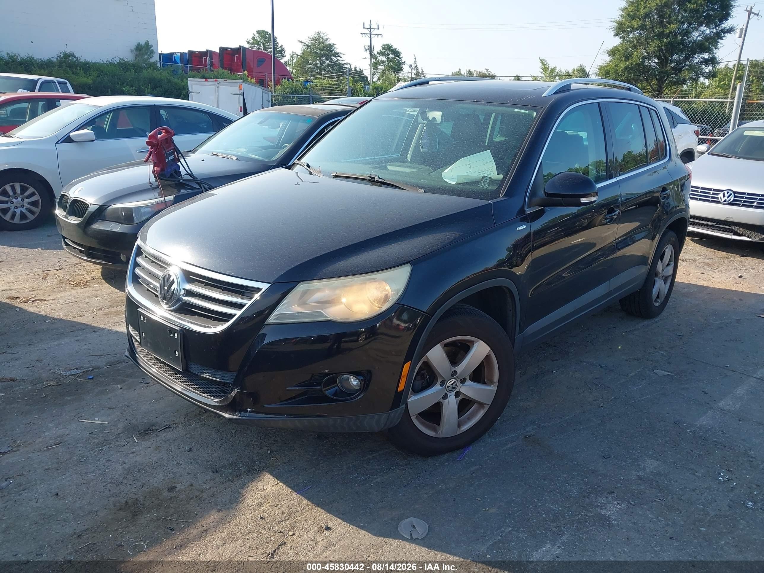 2010 Volkswagen Tiguan Wolfsburg Edition Blue vin: WVGBV7AX8AW524988