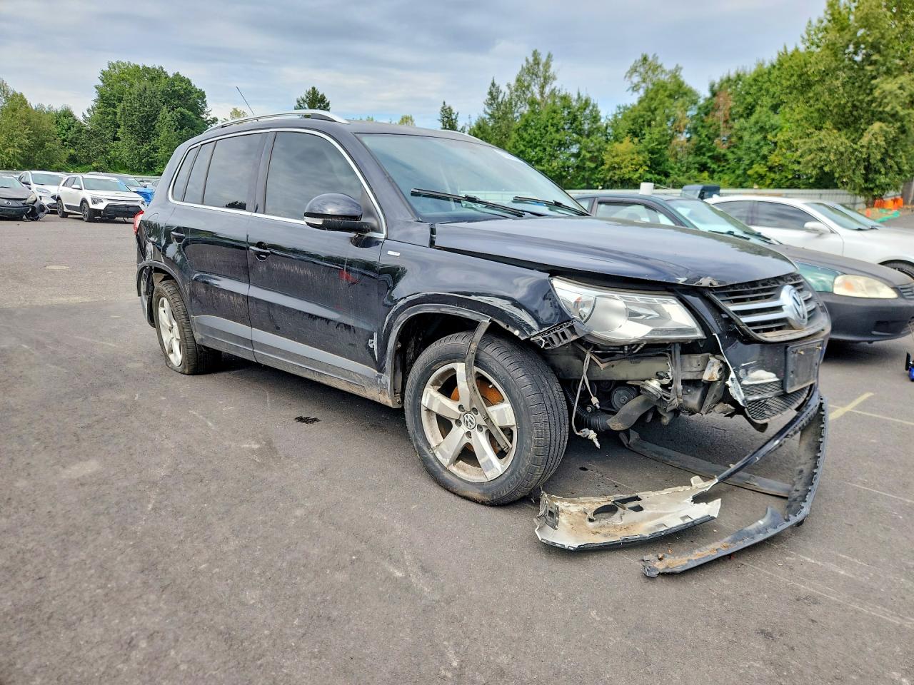 2010 Volkswagen Tiguan Se Black vin: WVGBV7AX9AW536891