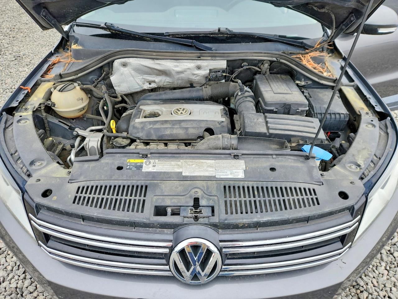 2015 Volkswagen Tiguan S Gray vin: WVGBV7AX9FW508435