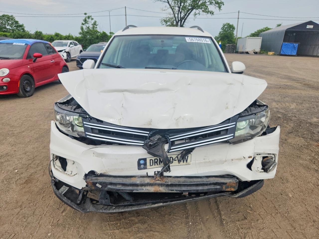 2014 Volkswagen Tiguan S White vin: WVGHV3AX0EW546122