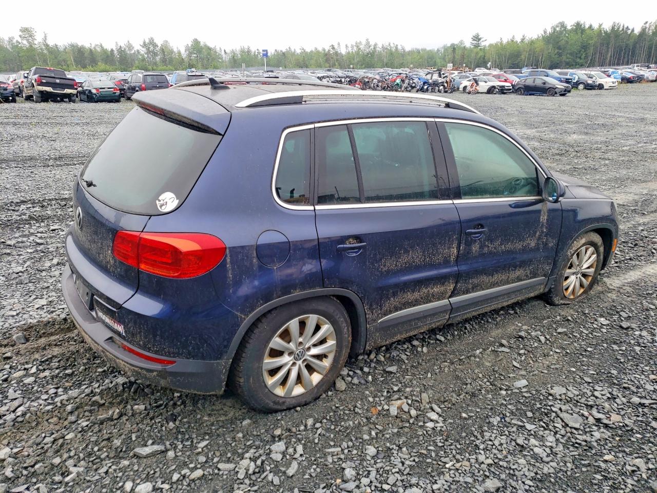 2014 Volkswagen Tiguan S Blue vin: WVGJV3AXXEW624990