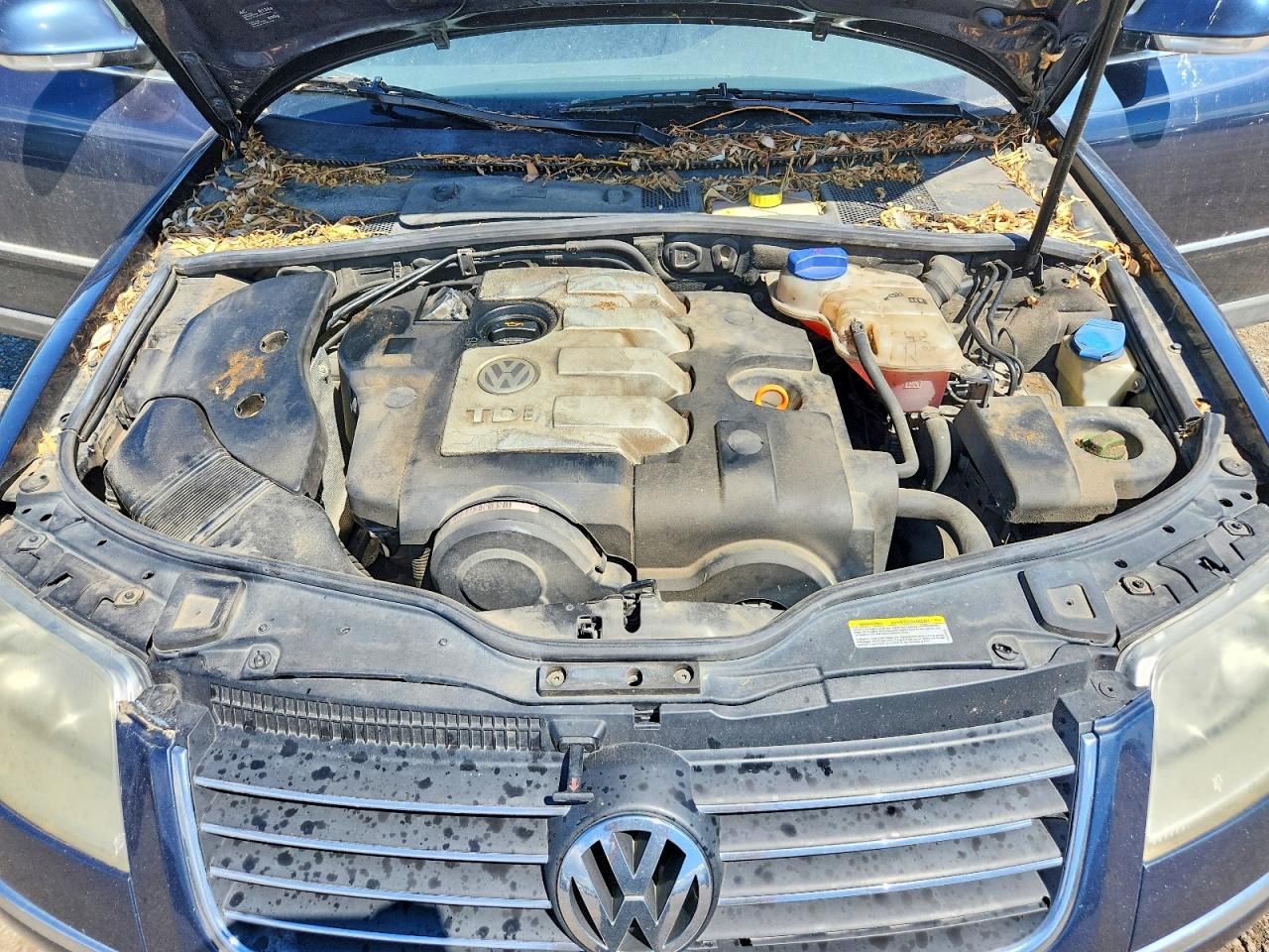 2008 Volkswagen Passat Gls Tdi Blue vin: WVWCE63B95E117519