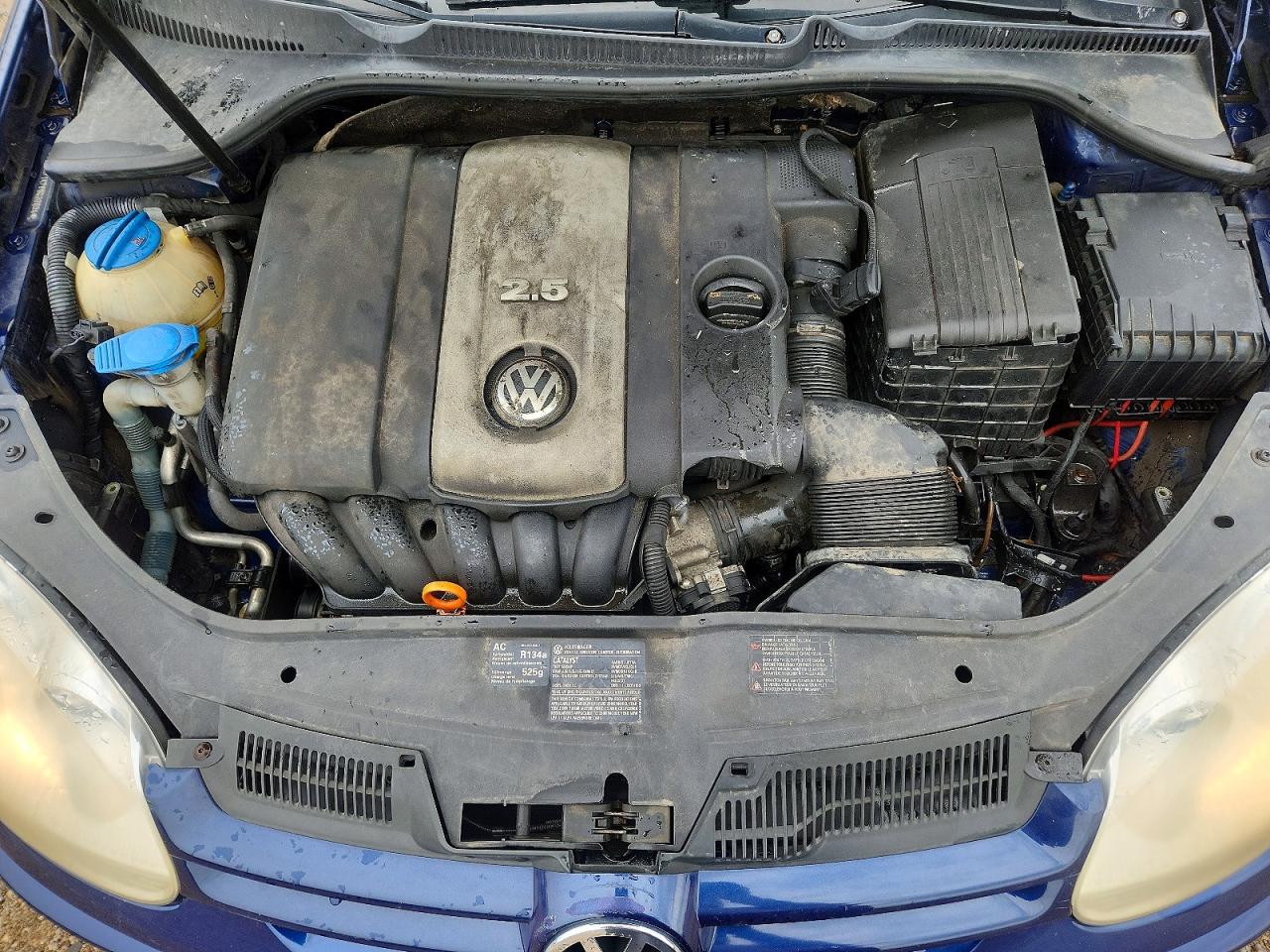 2008 Volkswagen Rabbit Blue vin: WVWDA71K78W020634
