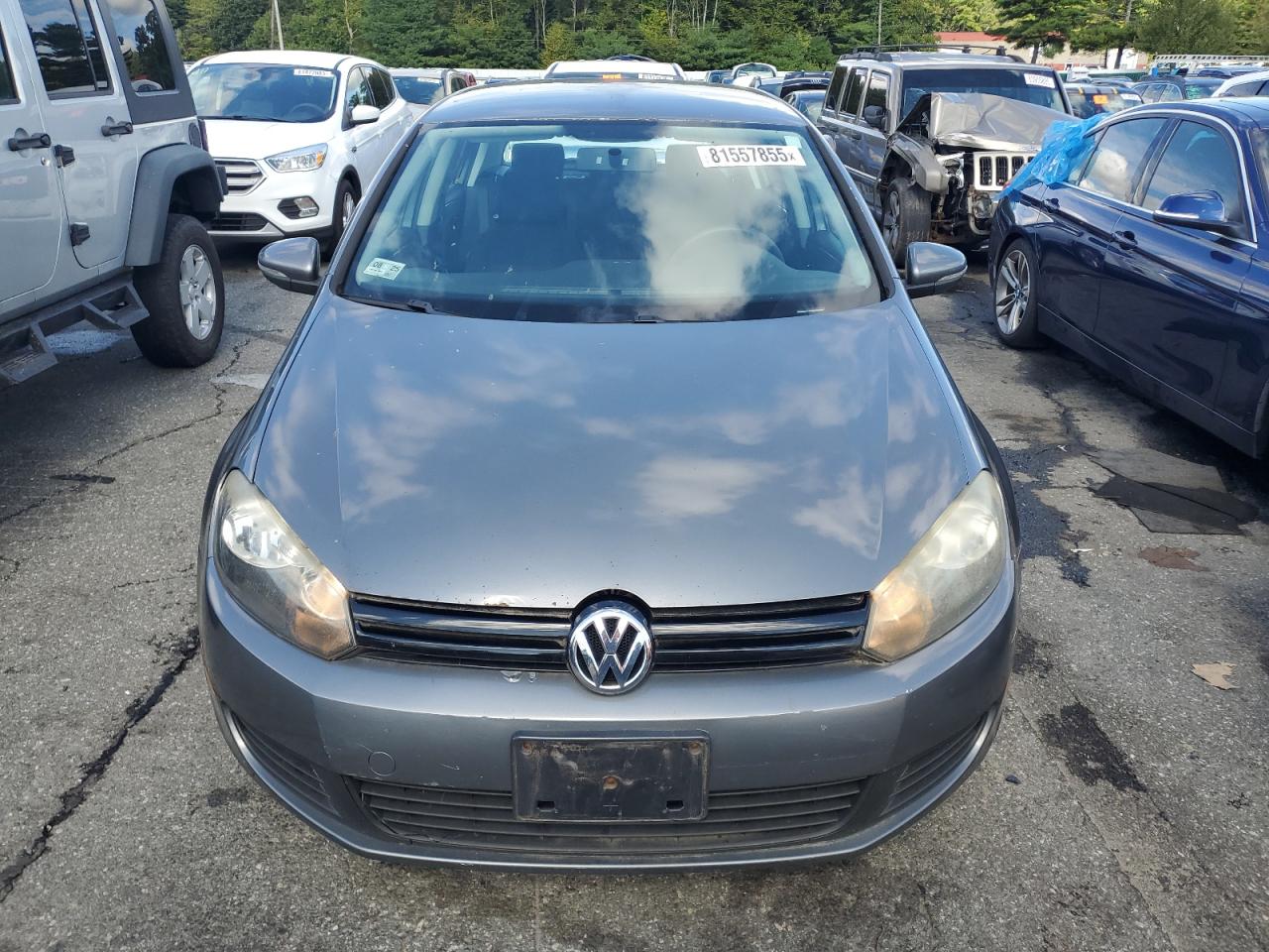 2010 Volkswagen Golf Gray vin: WVWDA7AJ4AW095739