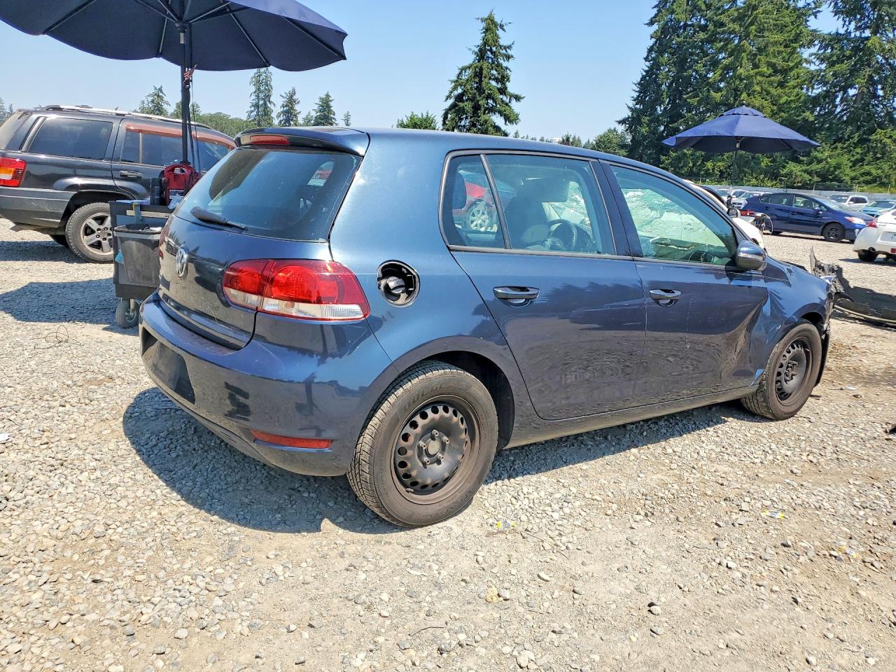 2010 Volkswagen Golf Blue vin: WVWDB7AJ3AW337143