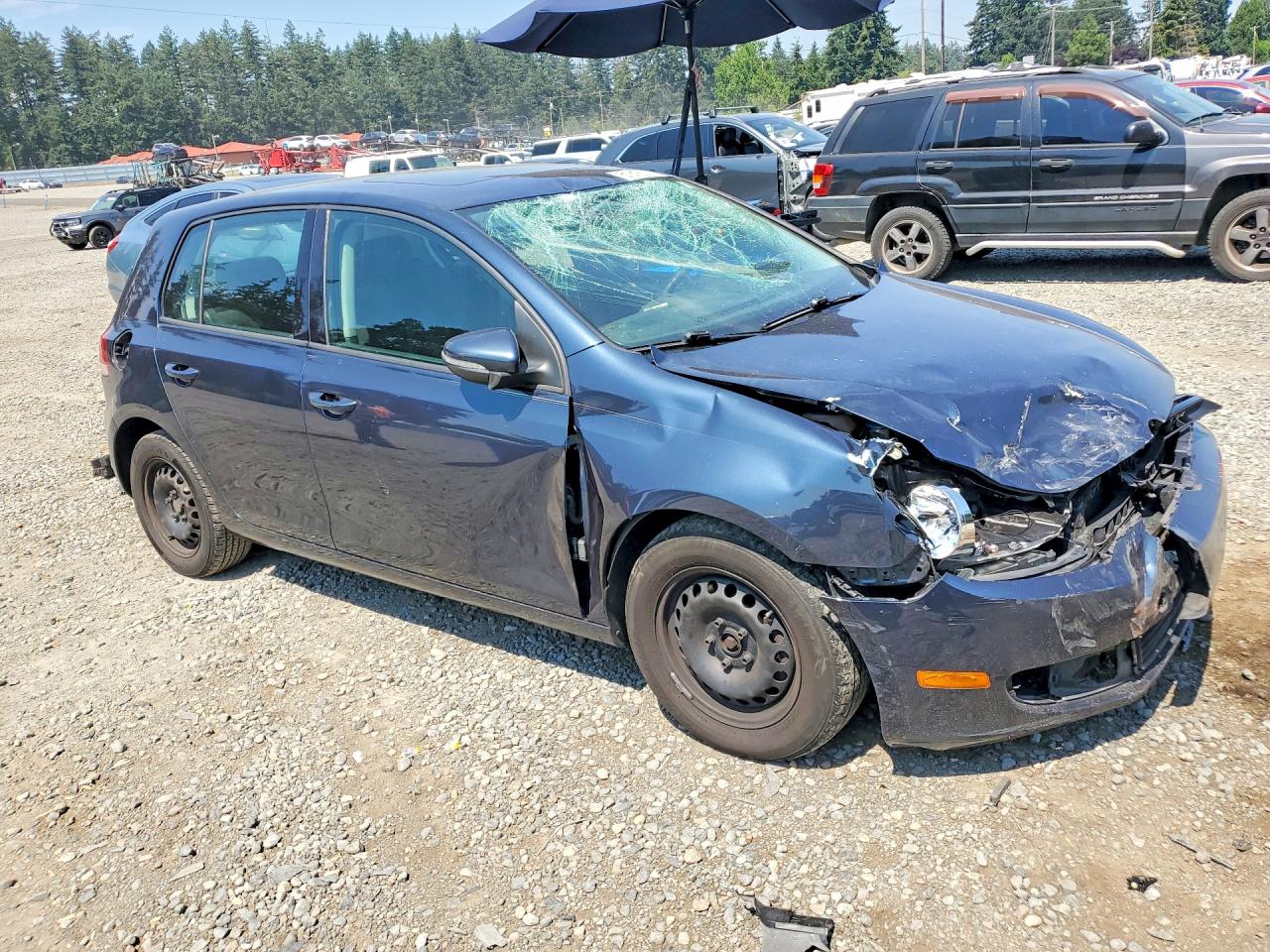 2010 Volkswagen Golf Blue vin: WVWDB7AJ3AW337143