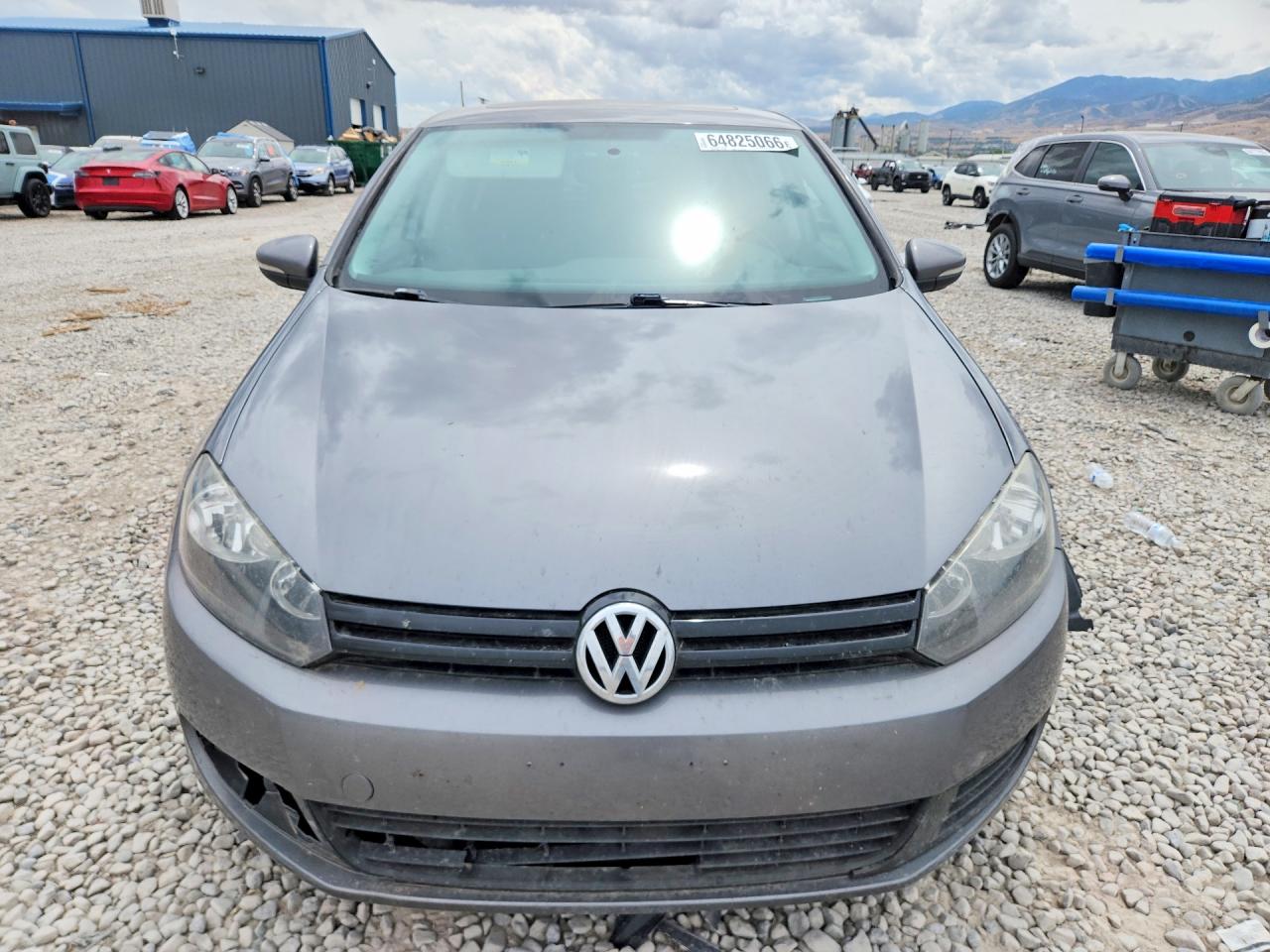 2013 Volkswagen Golf Gray vin: WVWDB7AJ9DW028653