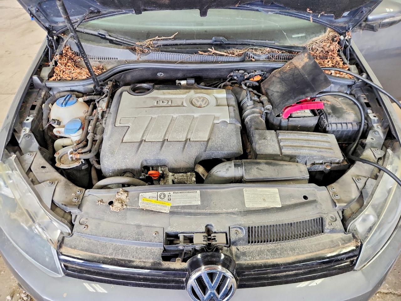 2013 Volkswagen Golf Gray vin: WVWDM7AJ1DW019777