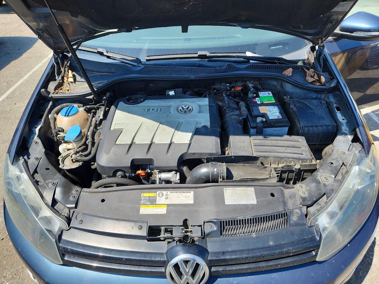 2013 Volkswagen Golf Teal vin: WVWDM7AJ7DW125506