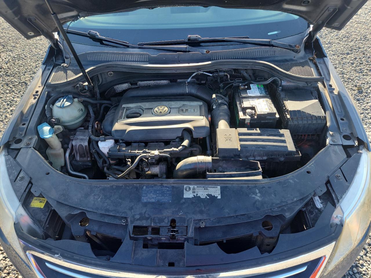 2010 Volkswagen Cc Sport Blue vin: WVWMN7AN3AE529405